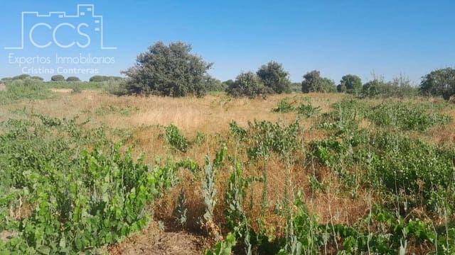 Bouwgrond te koop in Almonte - € 9.000 (Ref: 10002513)