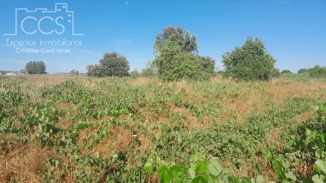 Bouwgrond te koop in Almonte - € 9.000 (Ref: 10002513)