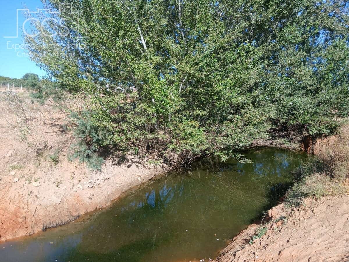 Działka budowlana na sprzedaż w Almonte - 66 000 € (Ref: 10004930)