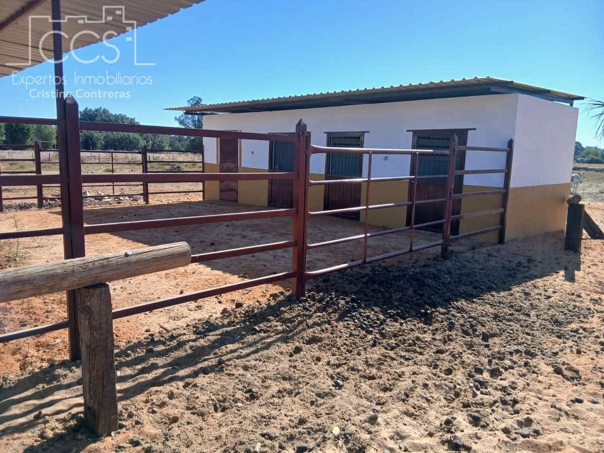 Działka budowlana na sprzedaż w Almonte - 66 000 € (Ref: 10004930)