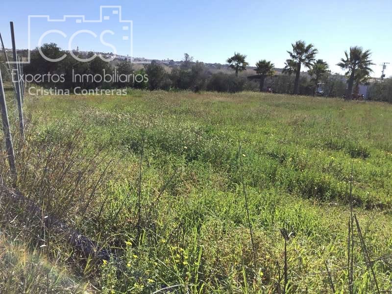 Area Edificabile in vendita in Aznalcazar - 50.000 € (Rif: 10014963)