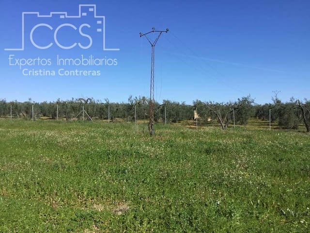 Area Edificabile in vendita in Aznalcázar - 50.000 € (Rif: 10014963)