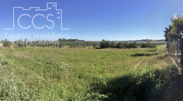 Area Edificabile in vendita in Aznalcázar - 50.000 € (Rif: 10014963)