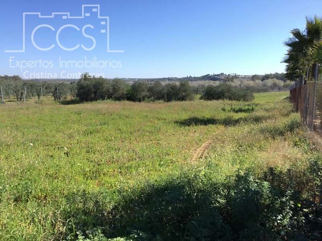 Area Edificabile in vendita in Aznalcázar - 50.000 € (Rif: 10014963)
