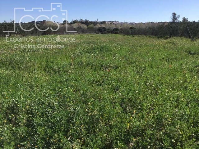 Area Edificabile in vendita in Aznalcázar - 50.000 € (Rif: 10014963)