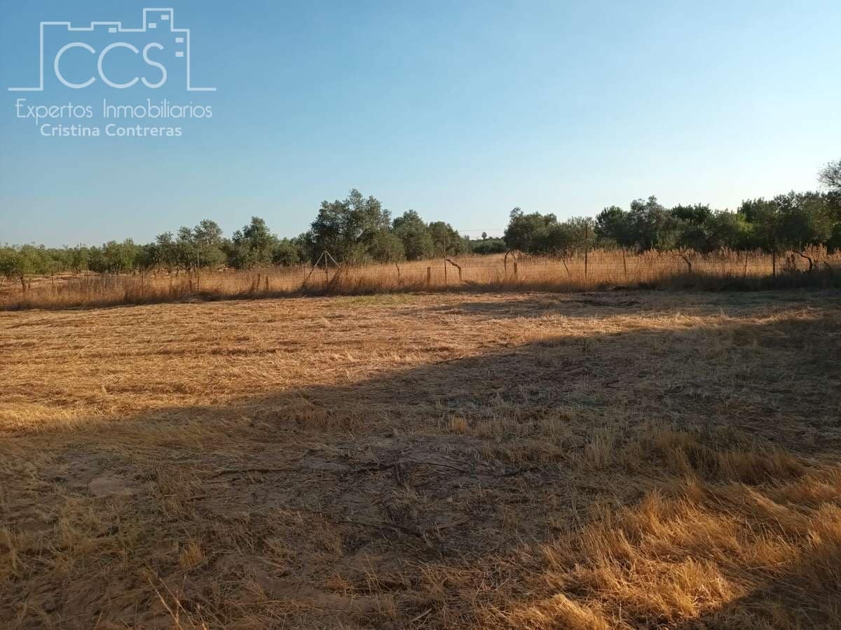 1 soverom Finca/Herregård til salgs i Almonte - € 107 000 (Ref: 10023482)