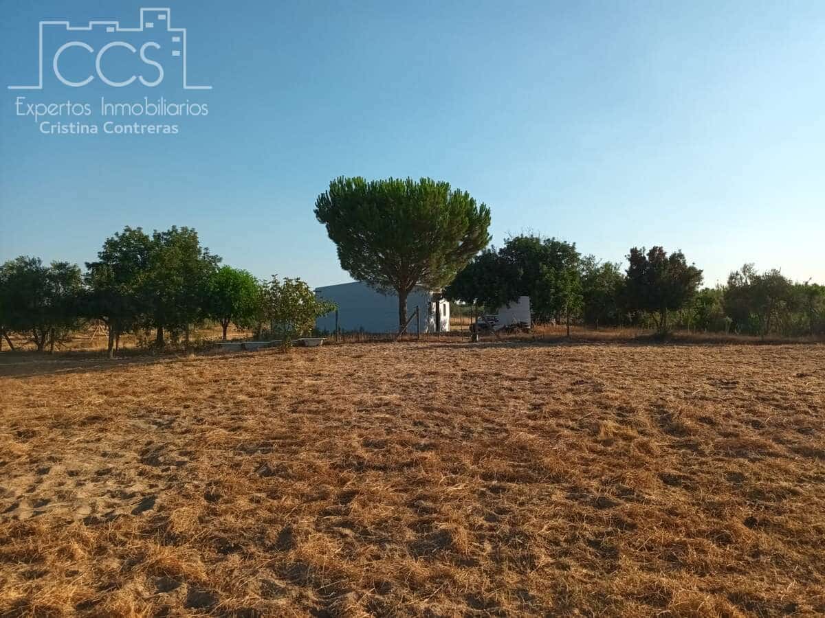 1 soverom Finca/Herregård til salgs i Almonte - € 107 000 (Ref: 10023482)
