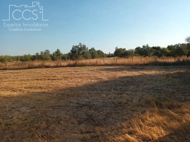 1 soverom Finca/Herregård til salgs i Almonte - € 107 000 (Ref: 10023482)