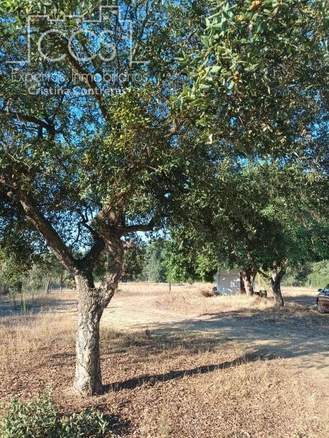 1 soverom Finca/Herregård til salgs i Almonte - € 107 000 (Ref: 10023482)