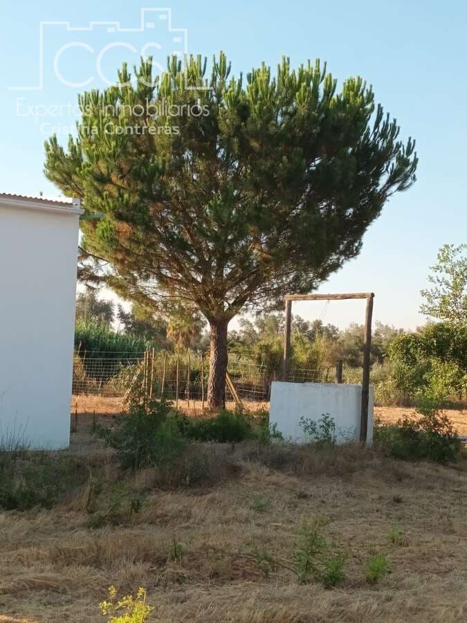 1 soverom Finca/Herregård til salgs i Almonte - € 107 000 (Ref: 10023482)