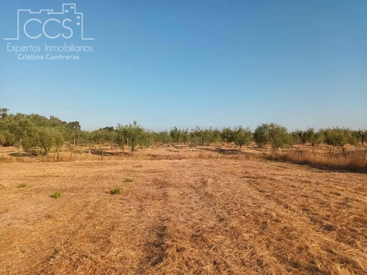 1 soverom Finca/Herregård til salgs i Almonte - € 107 000 (Ref: 10023482)