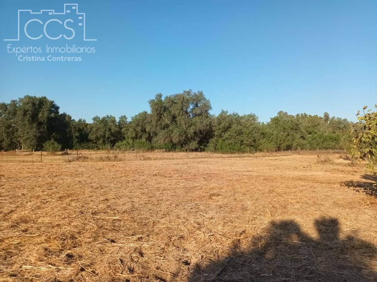 1 soverom Finca/Herregård til salgs i Almonte - € 107 000 (Ref: 10023482)
