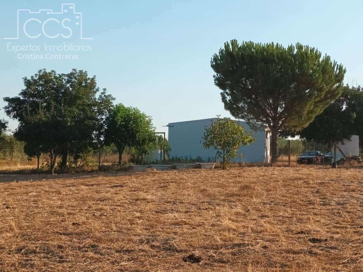 1 soverom Finca/Herregård til salgs i Almonte - € 107 000 (Ref: 10023482)