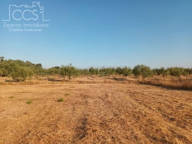 1 soverom Finca/Herregård til salgs i Almonte - € 107 000 (Ref: 10023482)