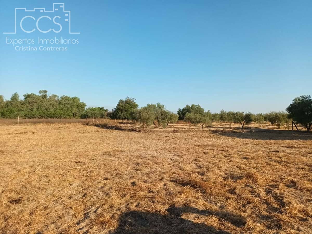 1 soverom Finca/Herregård til salgs i Almonte - € 107 000 (Ref: 10023482)