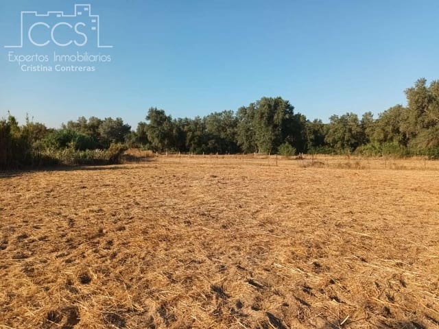 1 soverom Finca/Herregård til salgs i Almonte - € 107 000 (Ref: 10023482)