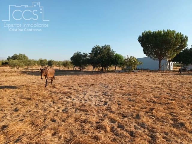 1 soverom Finca/Herregård til salgs i Almonte - € 107 000 (Ref: 10023482)