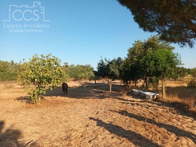 1 soverom Finca/Herregård til salgs i Almonte - € 107 000 (Ref: 10023482)