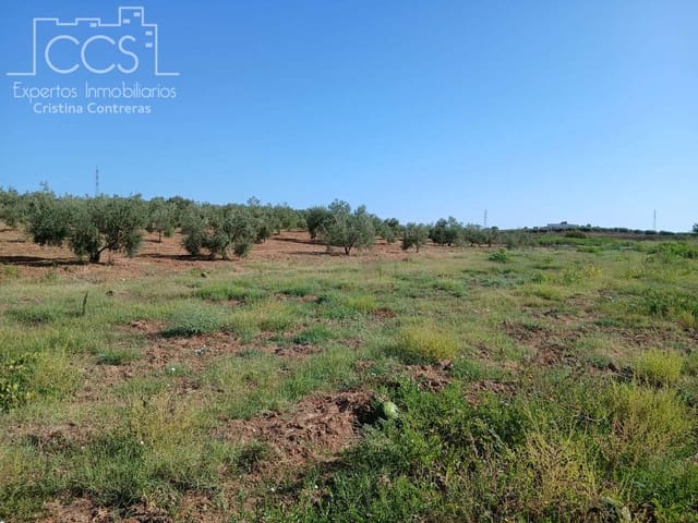Działka budowlana na sprzedaż w Almonte - 29 000 € (Ref: 10033379)