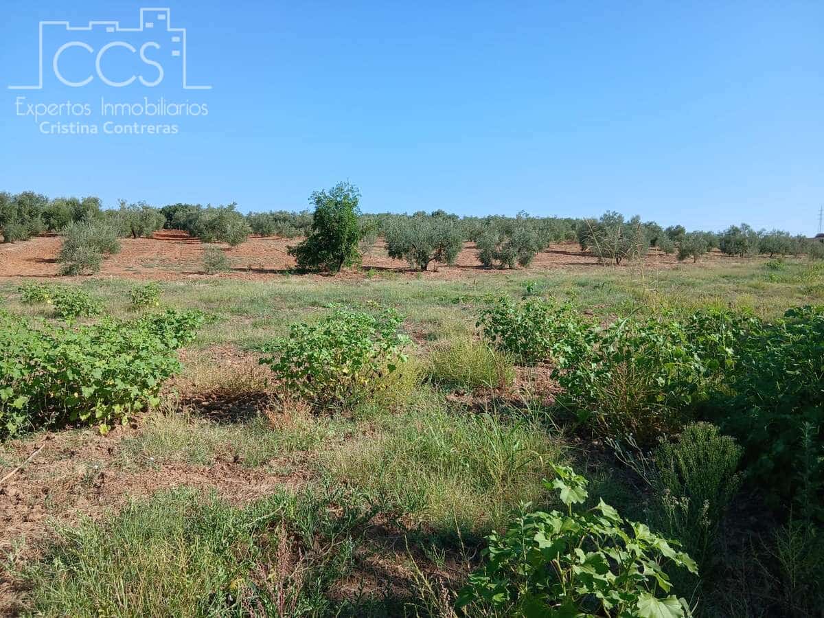Działka budowlana na sprzedaż w Almonte - 29 000 € (Ref: 10033379)