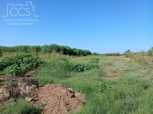 Działka budowlana na sprzedaż w Almonte - 29 000 € (Ref: 10033379)