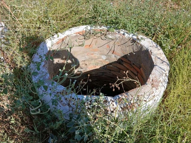 Działka budowlana na sprzedaż w Almonte - 29 000 € (Ref: 10033379)