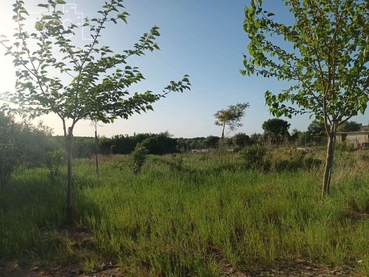 2 quarto Quinta/Casa Rural para venda em Almonte - 115 000 € (Ref: 10033380)