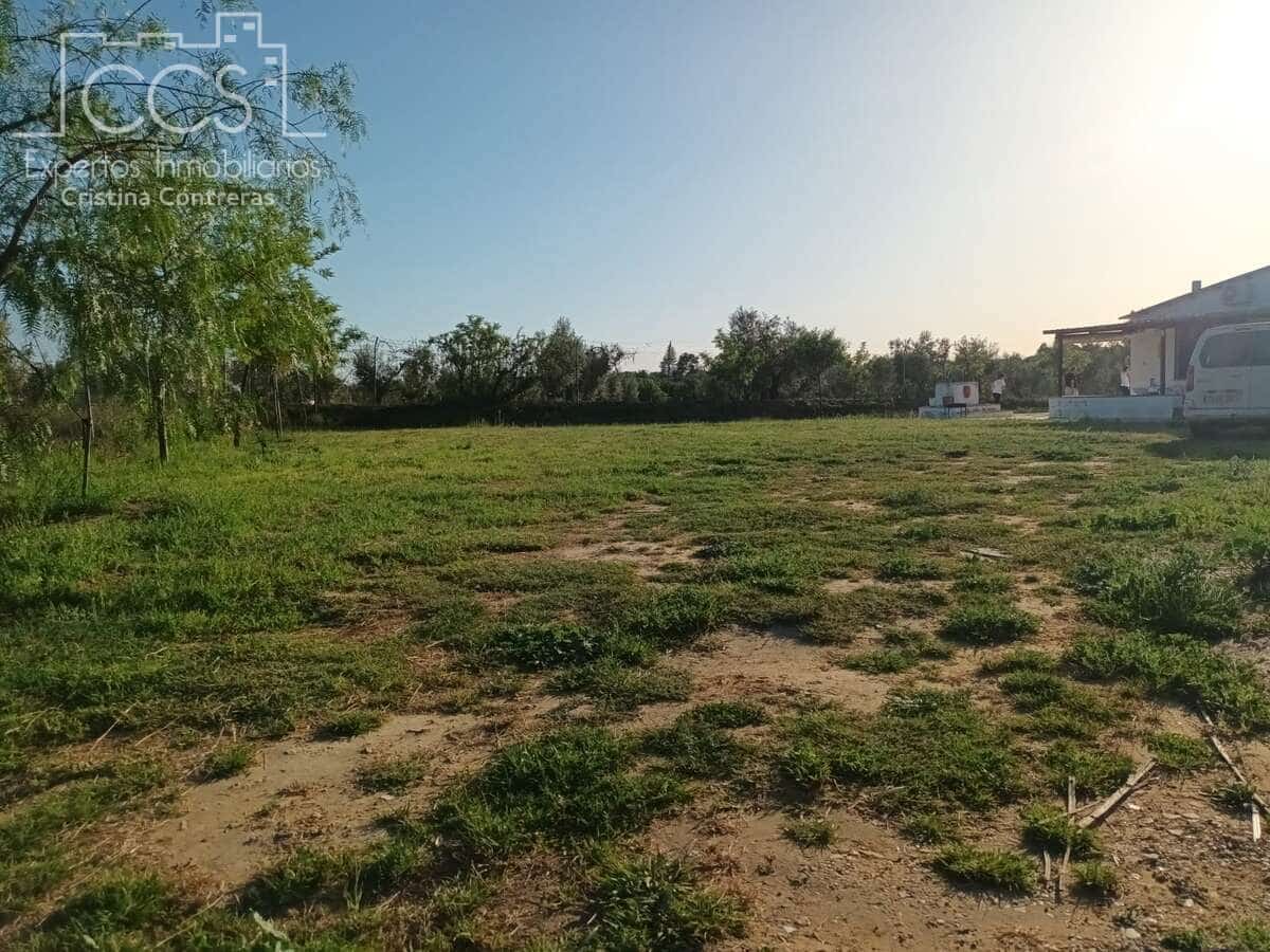 2 quarto Quinta/Casa Rural para venda em Almonte - 115 000 € (Ref: 10033380)