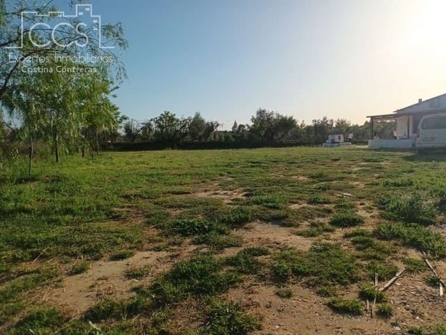 2 quarto Quinta/Casa Rural para venda em Almonte - 115 000 € (Ref: 10033380)