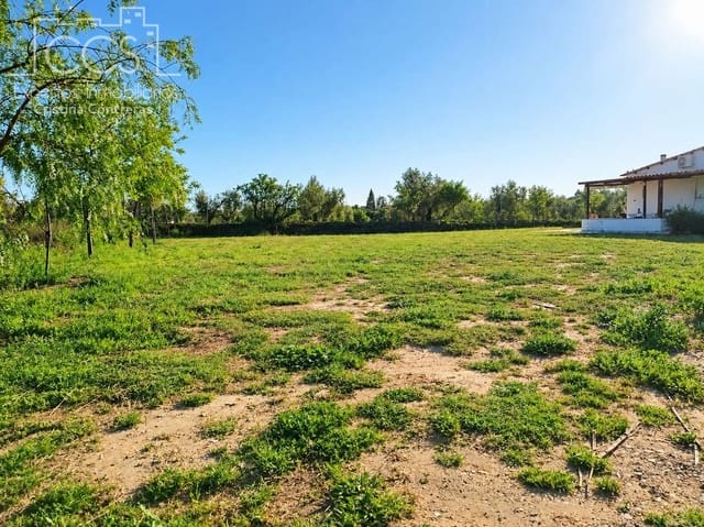 2 Zimmer Finca/Landgut zu verkaufen in Almonte - 115.000 € (Ref: 10033380)
