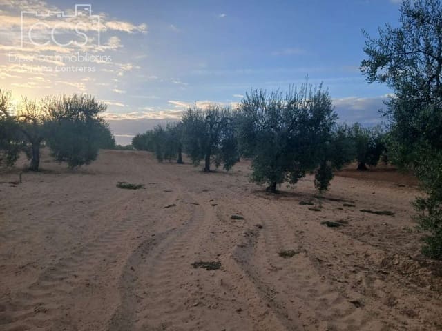 Building Plot for sale in Almonte - € 16,000 (Ref: 10034810)