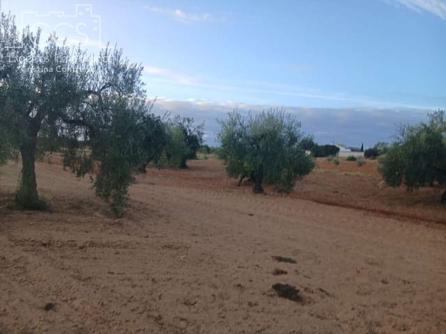 Building Plot for sale in Almonte - € 16,000 (Ref: 10034810)