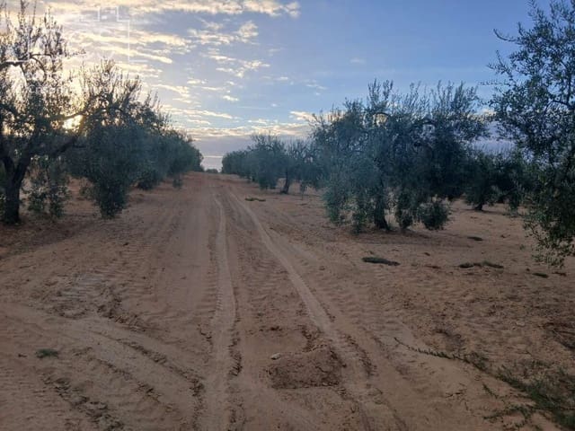 Building Plot for sale in Almonte - € 16,000 (Ref: 10034810)