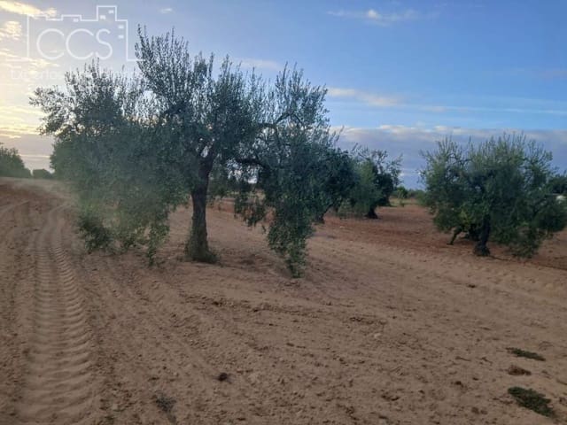 Building Plot for sale in Almonte - € 16,000 (Ref: 10034810)