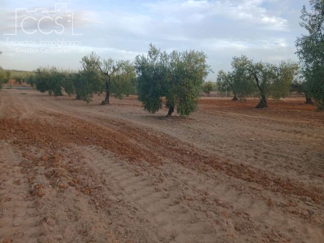 Building Plot for sale in Almonte - € 16,000 (Ref: 10034810)