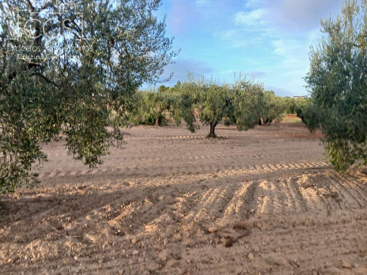 Building Plot for sale in Almonte - € 16,000 (Ref: 10034810)