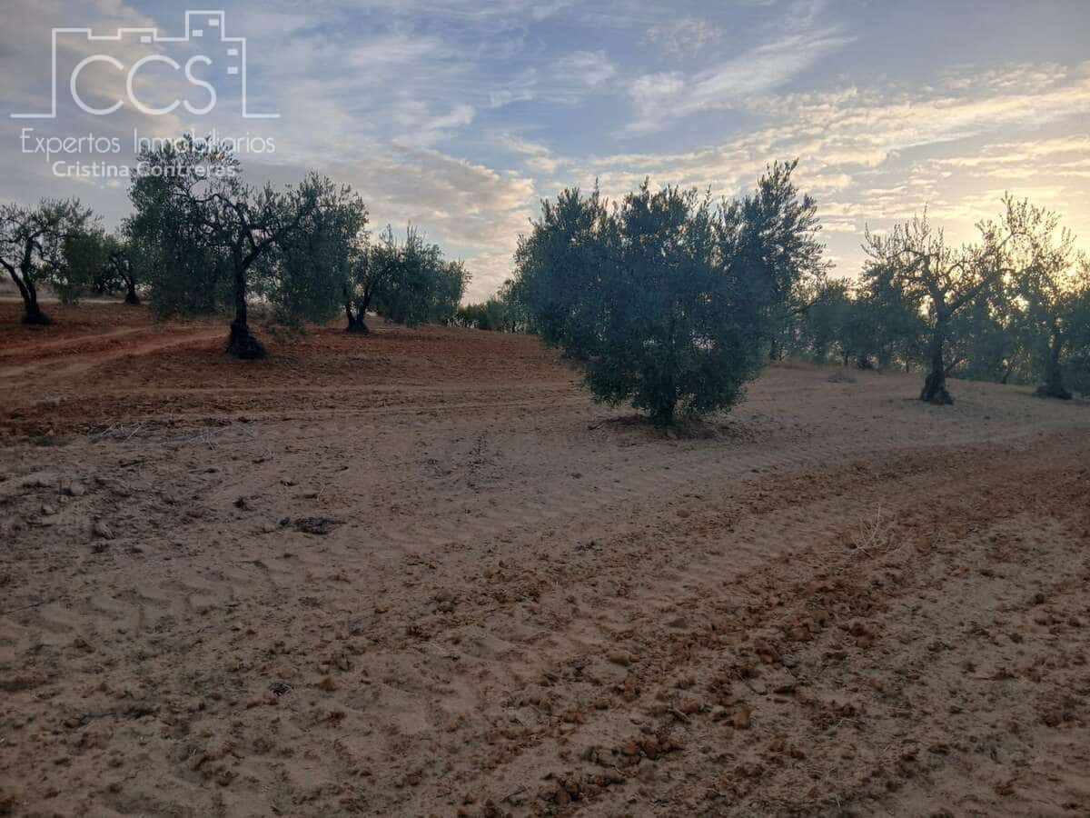 Building Plot for sale in Almonte - € 16,000 (Ref: 10034810)