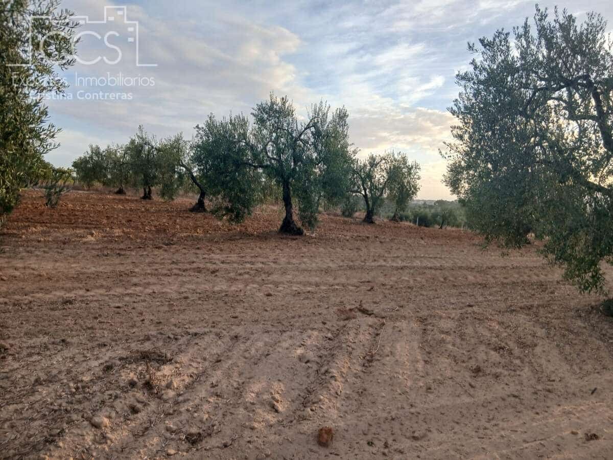 Building Plot for sale in Almonte - € 16,000 (Ref: 10034810)