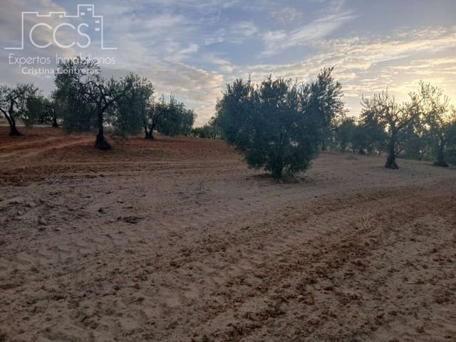 Building Plot for sale in Almonte - € 16,000 (Ref: 10034810)