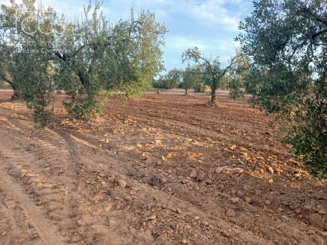 Building Plot for sale in Almonte - € 16,000 (Ref: 10034810)