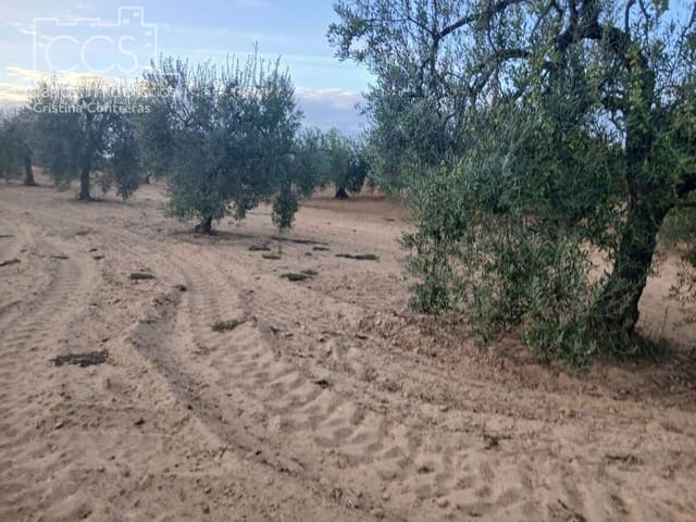Terrain à Bâtir à vendre à Almonte - 16 000 € (Ref: 10034810)