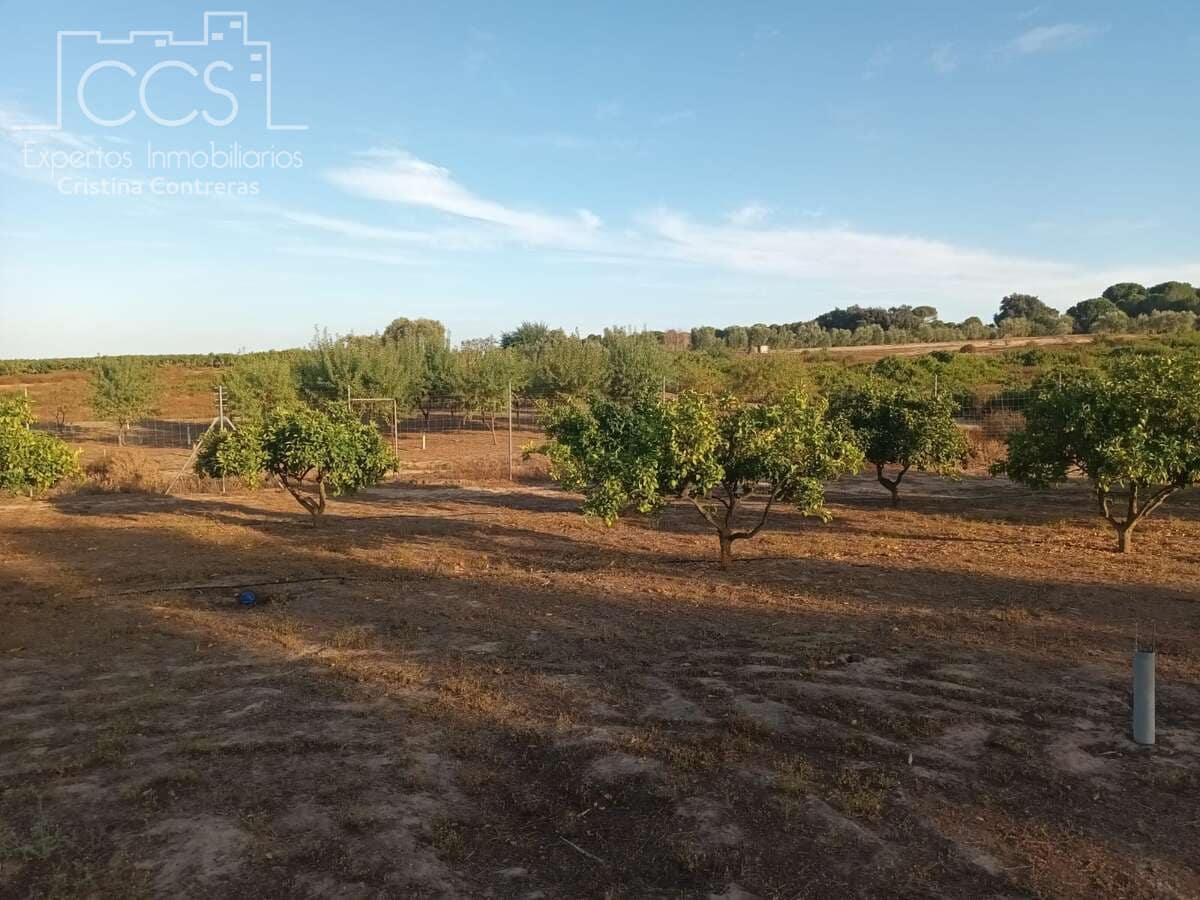 Finca/Landhuis te koop in Bollullos Par del Condado - € 29.000 (Ref: 10040253)