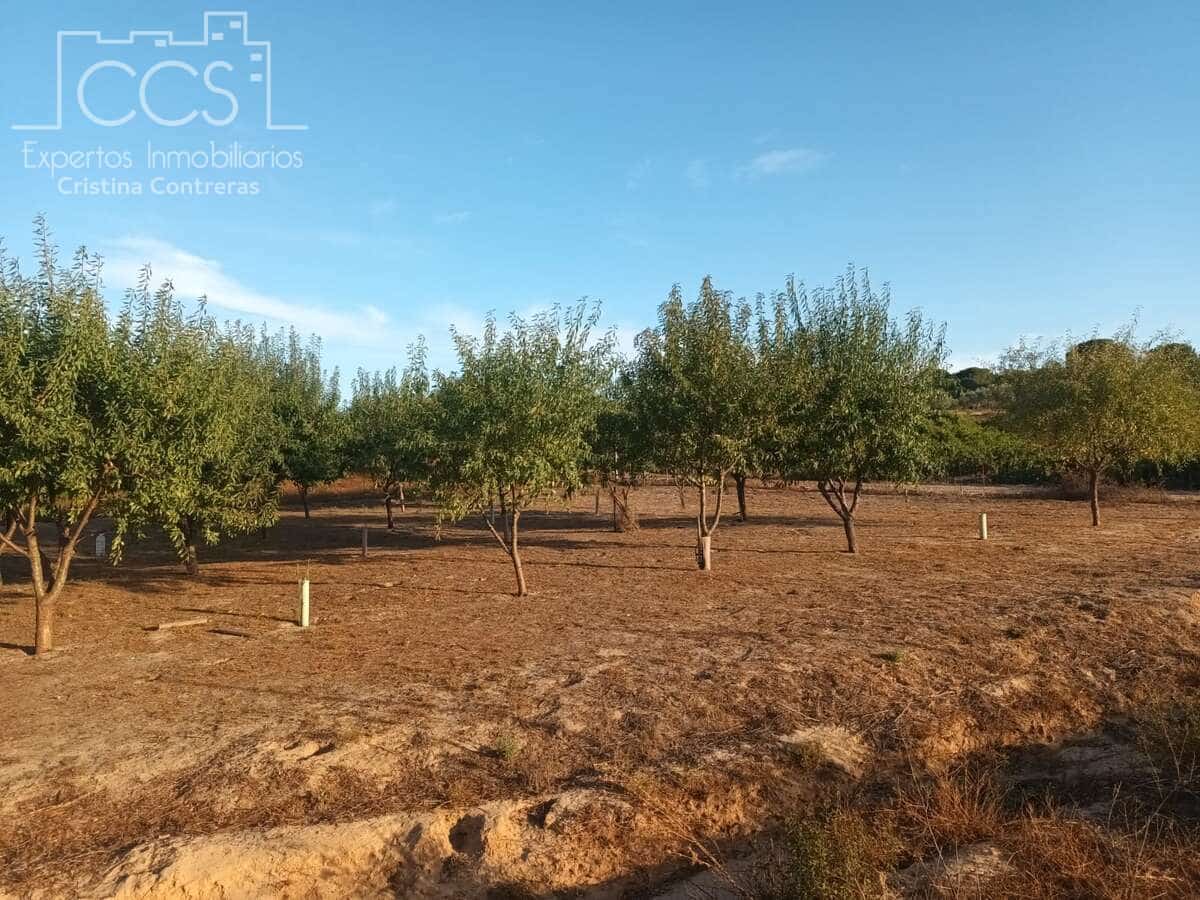 1 bedroom Finca/Country House for sale in Bollullos Par del Condado - € 29,000 (Ref: 10040253)