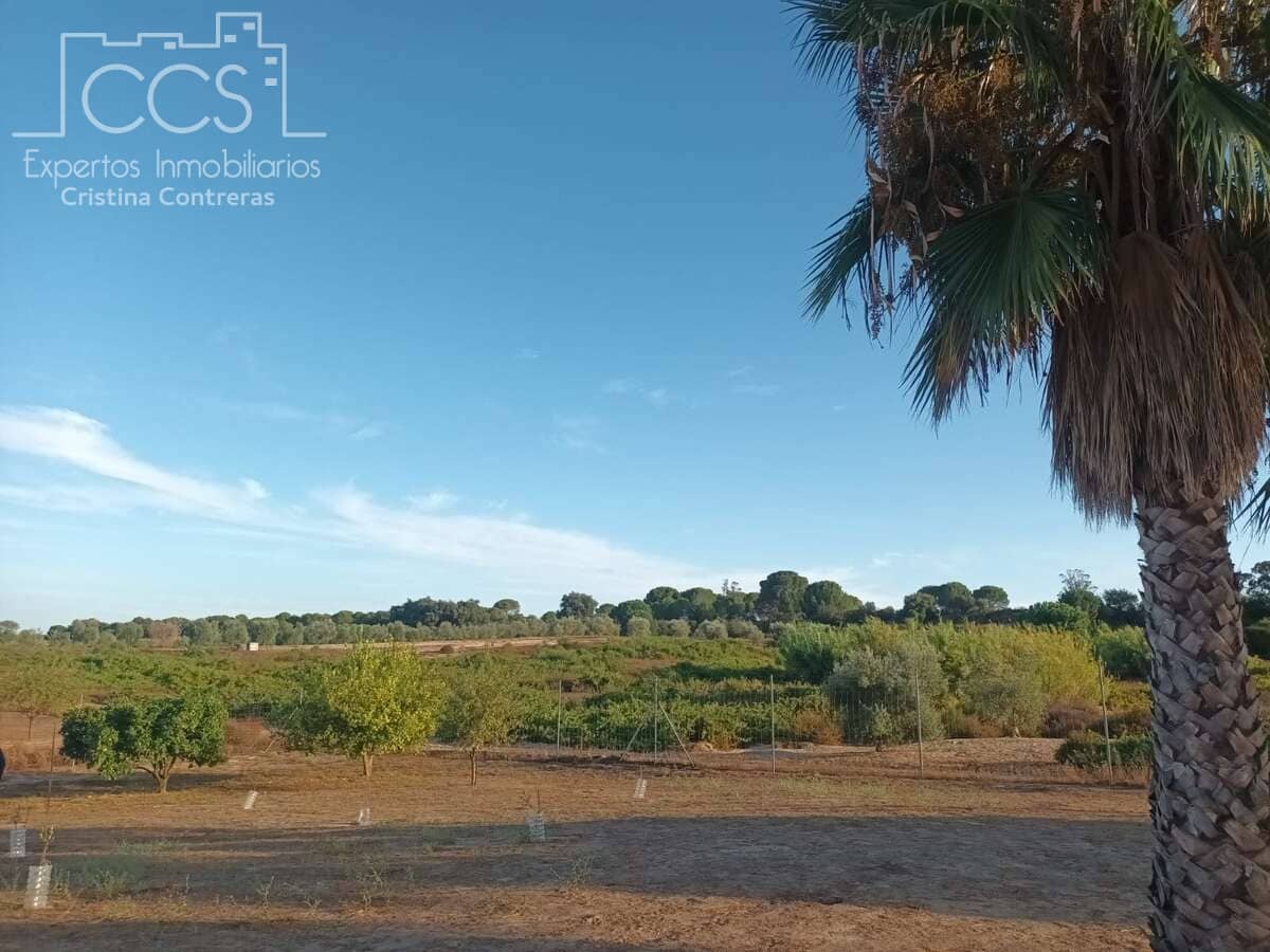 1 bedroom Finca/Country House for sale in Bollullos Par del Condado - € 29,000 (Ref: 10040253)