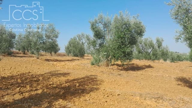Building Plot for sale in Almonte - € 28,000 (Ref: 10042347)