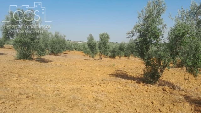 Building Plot for sale in Almonte - € 28,000 (Ref: 10042347)