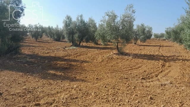 Building Plot for sale in Almonte - € 28,000 (Ref: 10042347)