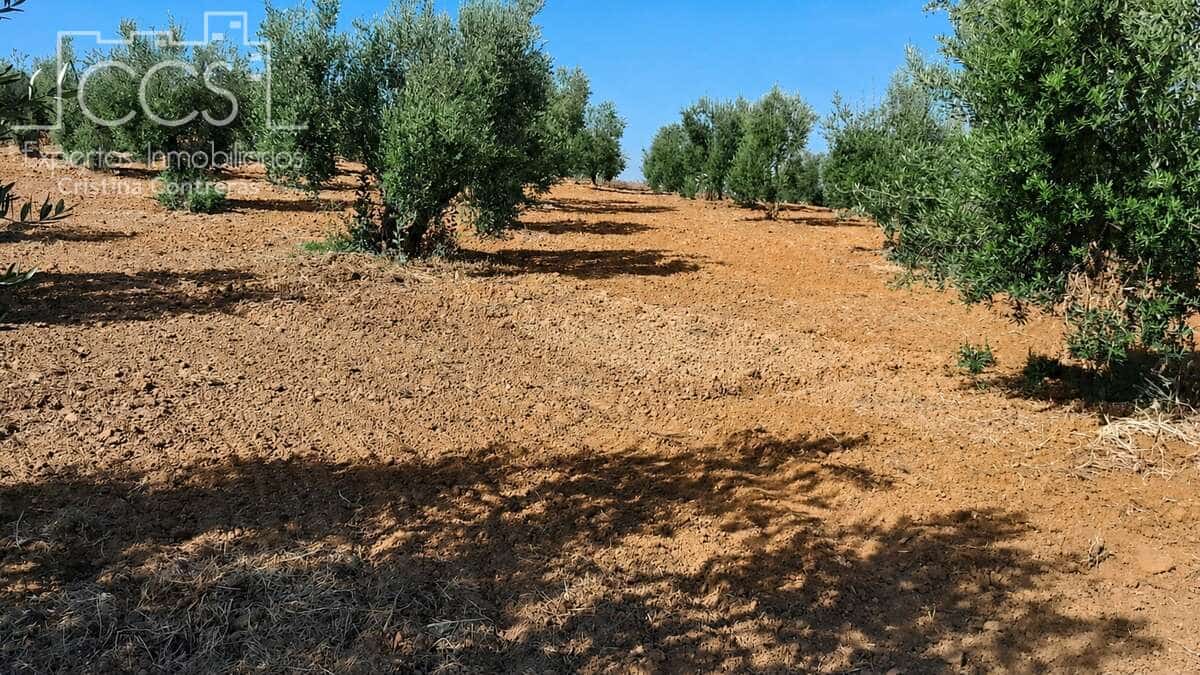 Building Plot for sale in Almonte - € 28,000 (Ref: 10042347)