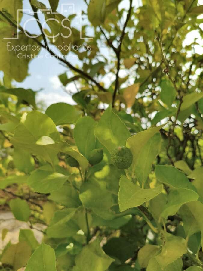 3 soveværelse Finca/Landehus til salg i Almonte med swimmingpool garage - € 185.000 (Ref: 10160811)