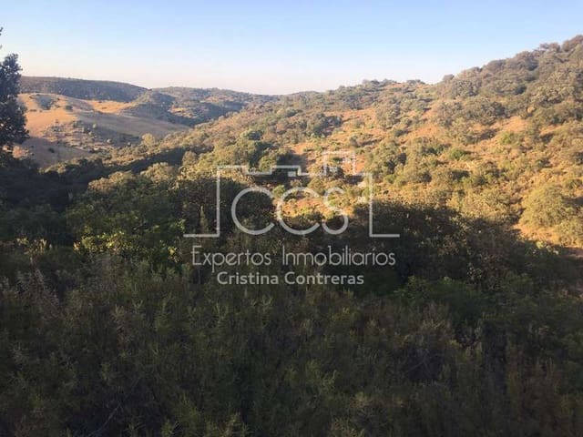 4 sypialnia Finka/Dom wiejski na sprzedaż w La Puebla de Cazalla - 670 000 € (Ref: 3733560)